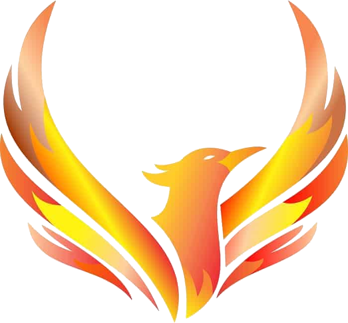 Fenix Dryer Vent Cleaning logo